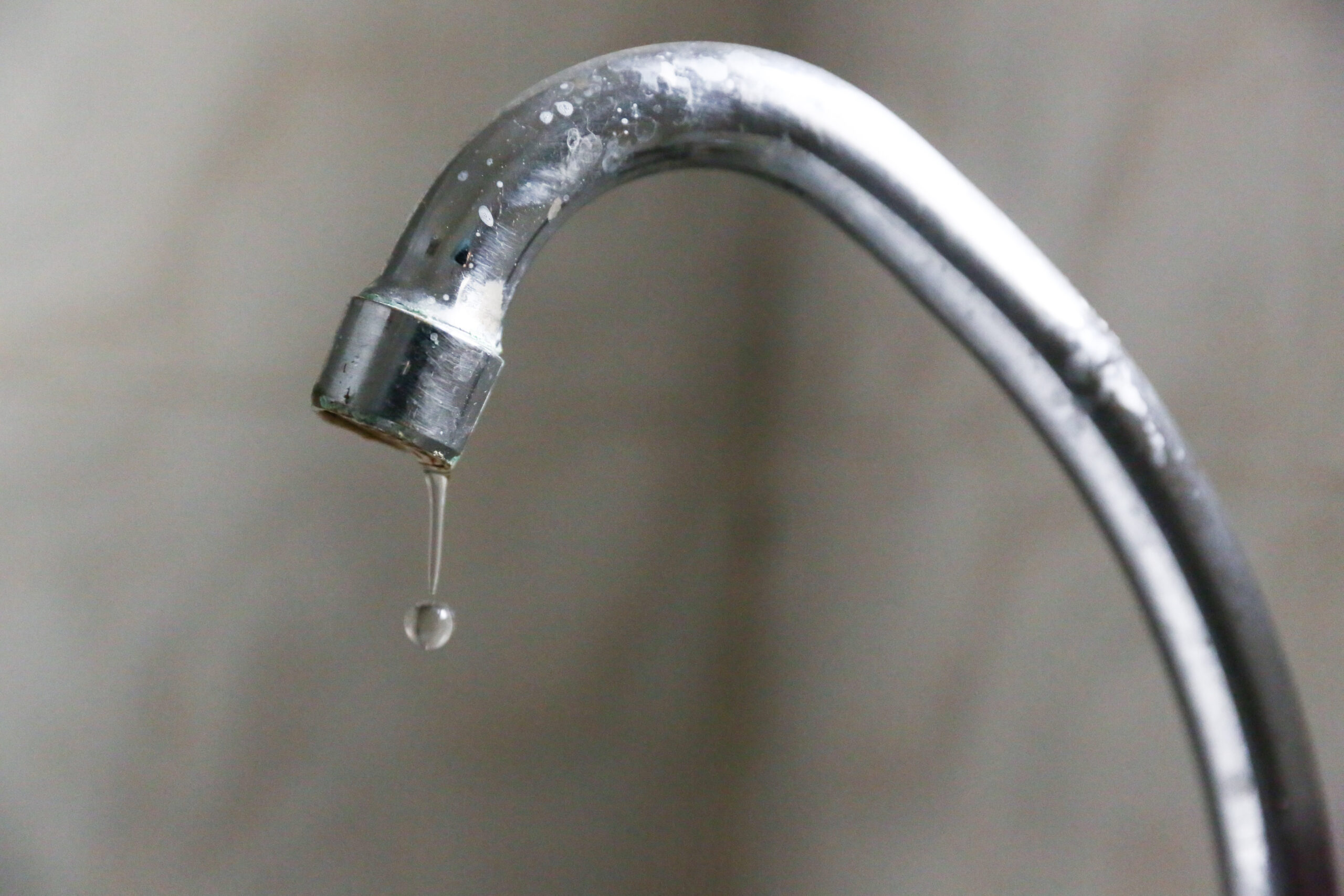 Entretien avec Teresa Suárez Zapater